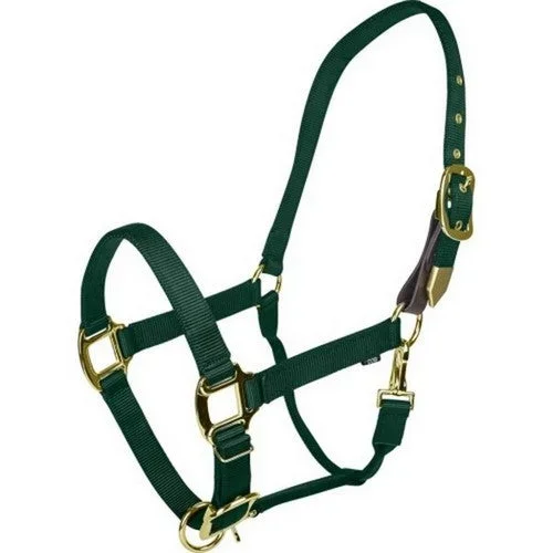 Gatsby, Gatsby Gold Adjustable Safety Breakaway Halter, Pony,Hunter Green
