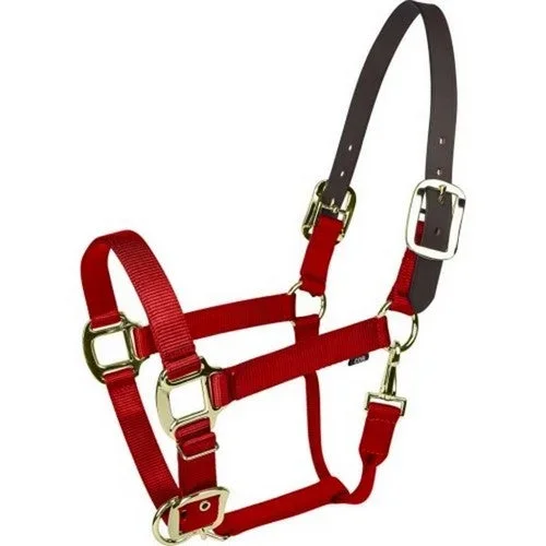 Gatsby, Gatsby Gold Nylon Breakaway Halter, Pony,Red