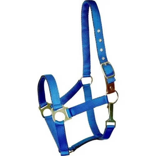 Gatsby, Gatsby Ultra Soft Nylon Safety Halter, Pony,Royal Blue