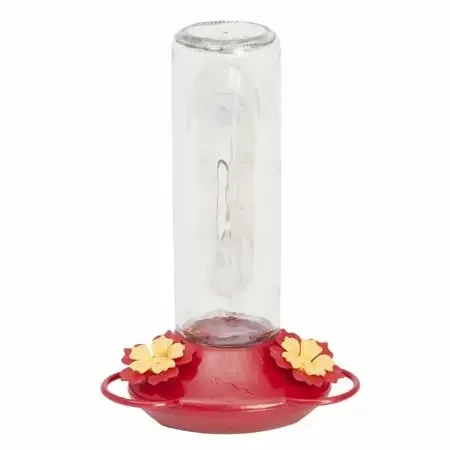 Glass Window Hummingbird Bird Feeder