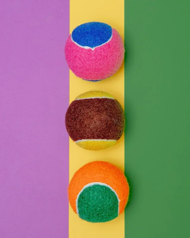 Go Get the Ball! Dog Toy (3-Pack)