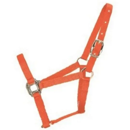Halter Horse Qlty 11-16 Large 1″ Mango 1 Each by Hamilton