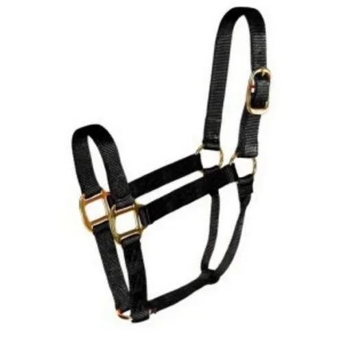 Halter Horse Qlty 5-8 Small 1″ Black 1 Each by Hamilton