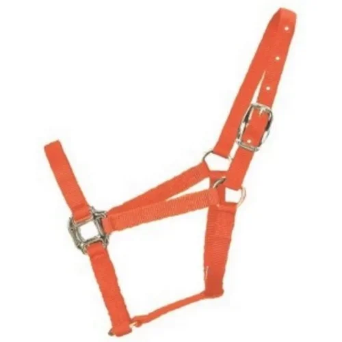 Halter Horse Qlty 5-8 Small 1″ Mango 1 Each by Hamilton