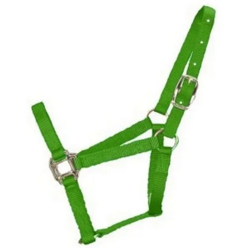 Halter Horse Qlty 8-11 Avg 1″ Lime 1 Each by Hamilton