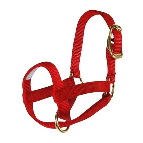 Halter Livest Goat 3/4″ Kid Red 1 Each by Hamilton