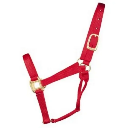 Hamilton, Halter Horse Adjustable 11-16 Large Red, 1 Each