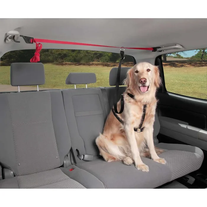 Happy Ride™ Dog Zipline