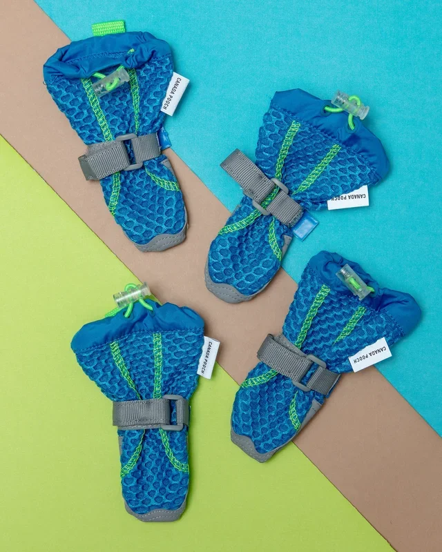 Hot Pavement Dog Boots in Blue and Green