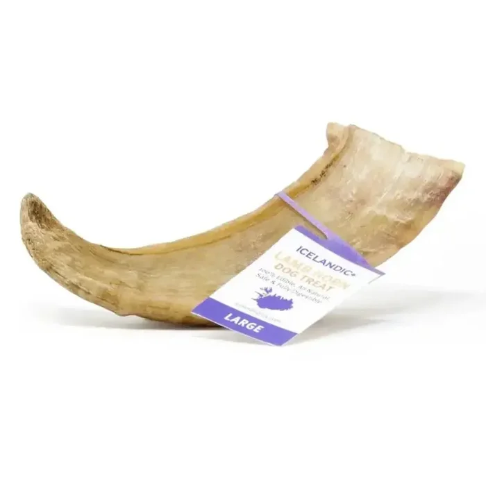 Icelandic+ Large Lamb Horn Individual