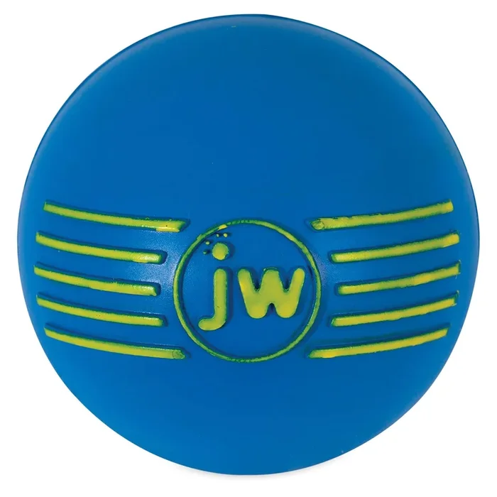 JW Pet iSqueak Ball Fetch Dog Toy – Assorted Color – Medium