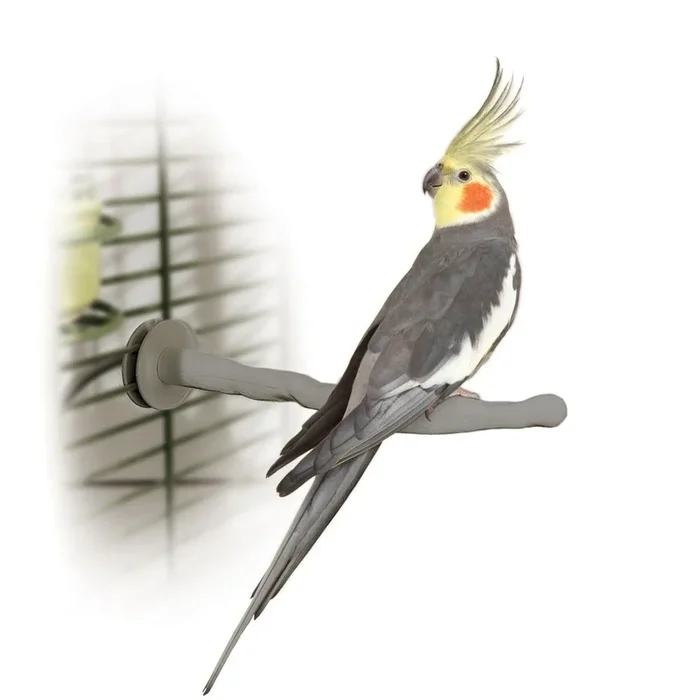 K&H Pet Products Bird Thermo-Perch