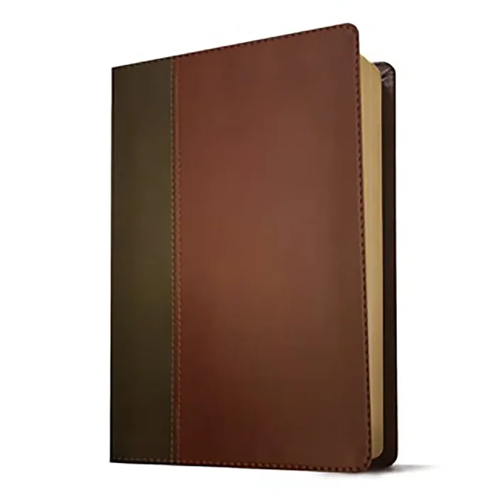 KJV Personal Size Giant Print Filament Enabled Bible 9781496447
