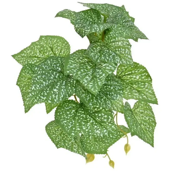 Komodo Standing Spotted Pothos Reptile Decor Plants 5 in