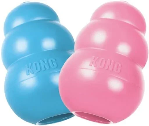 Kong Puppy Teething Treat Inserting Rubber Dog Toy – Large