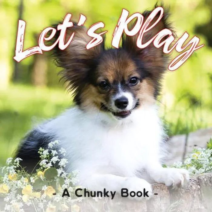 Let’s Play Chunky Board Book 4769