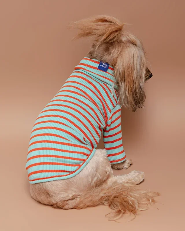 Life’s a Beach Ribbed Pullover