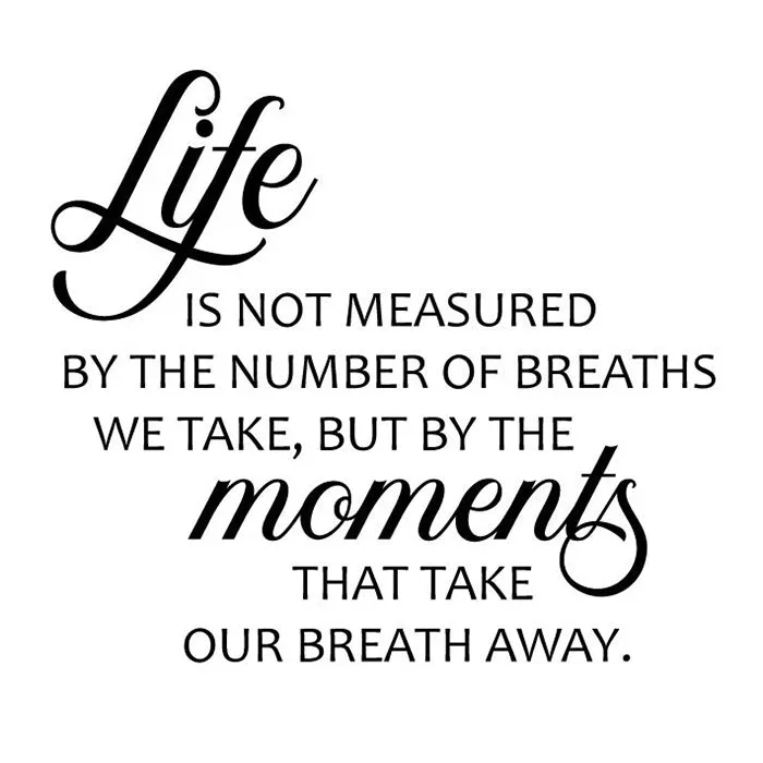 Life Is Not Measured Vinyl Wall Decal 6035