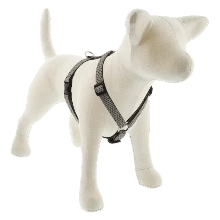 Lupine Eco Roman Dog Harness 3/4″ x 14″-24″ Granite