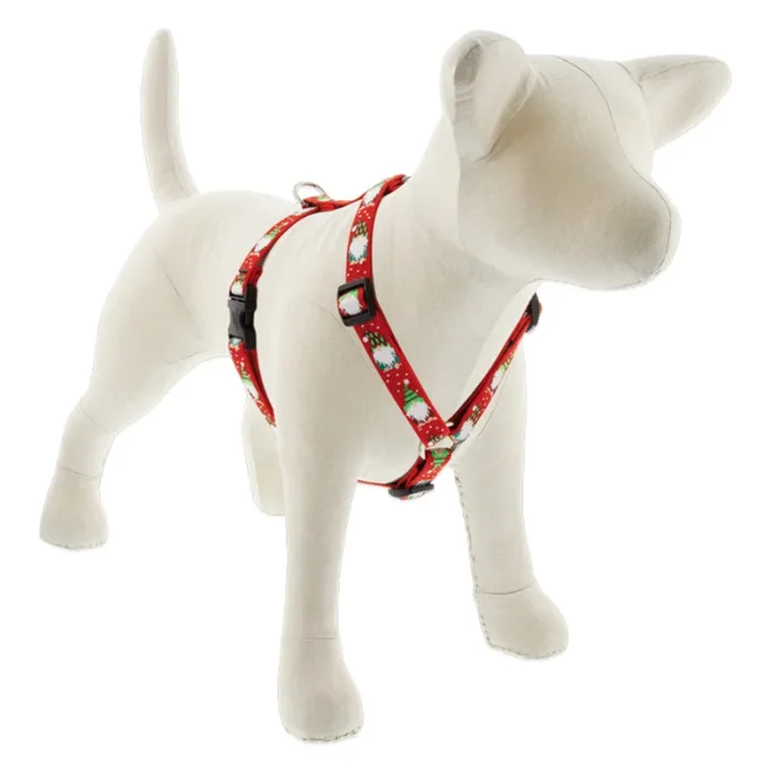 Lupine MicroBatch Roman Dog Harness 3/4″ Wide 12″-20″ Girth Size Gnomes