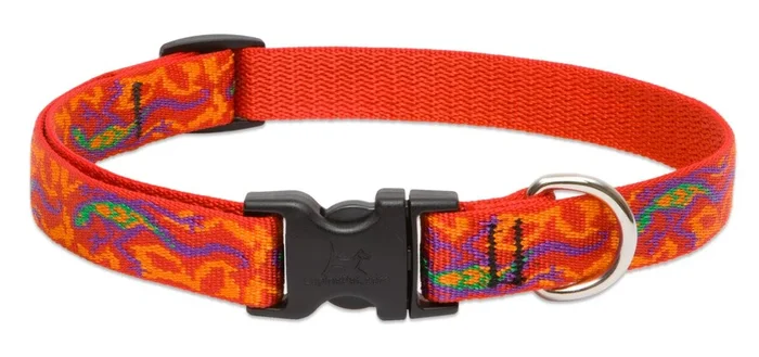 LupinePet Originals 3/4″ Go Go Gecko 13-22″ Adjustable Collar for Medium and Larger Dogs