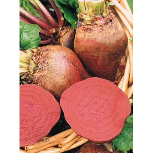 Lutz’s Green Leaf Beet Seed Pack 9900300