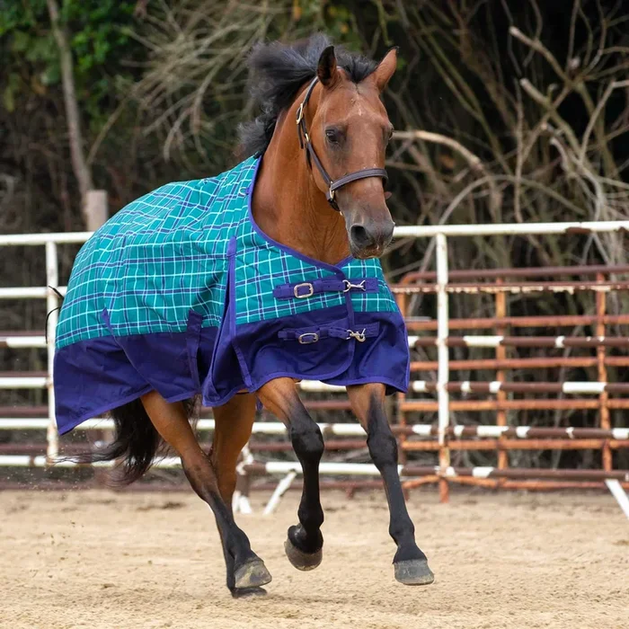 Manta para caballos de peso medio con cuadros económicos de Jeffers