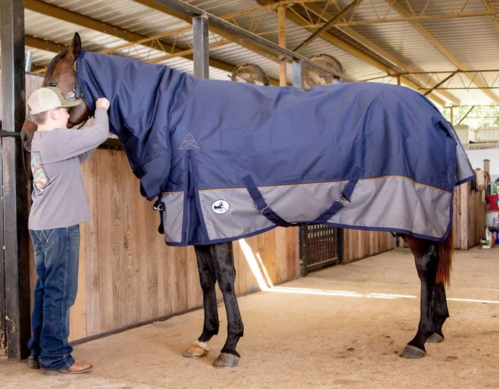 Manta para caballos de peso medio con cuello combinado Jeffers Economy Plus