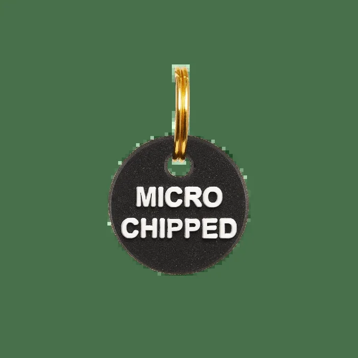 Microchipped Dog Collar Mini Charm