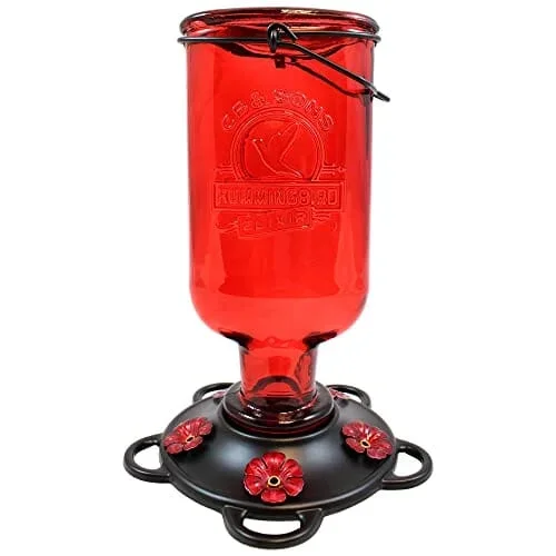 More Birds Elixir Antique Glass Hummingbird Feeder – Red – 13 Oz Cap – 4 Pack