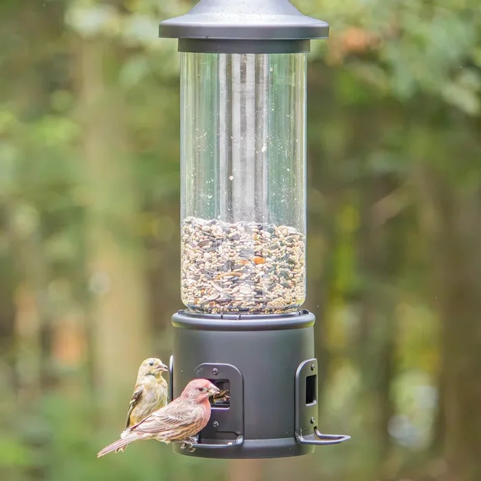 Nature’s Way Squirrel Shield Choice Tube Feeder