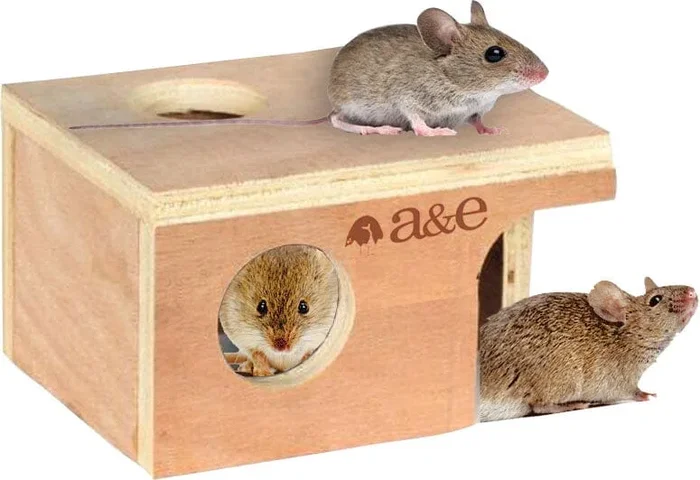 Nibbles Mouse Hut Small Animal Hideaway – Small