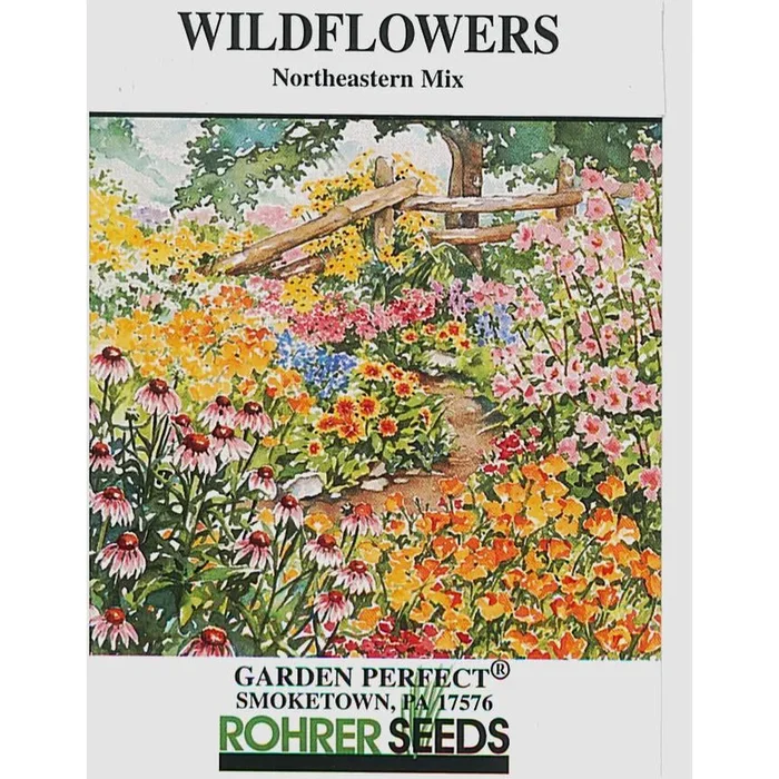 Northeastern Wildflower Seed Mix 9938103