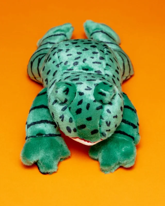 Oliver the Frog Plush Squeaky Dog Toy
