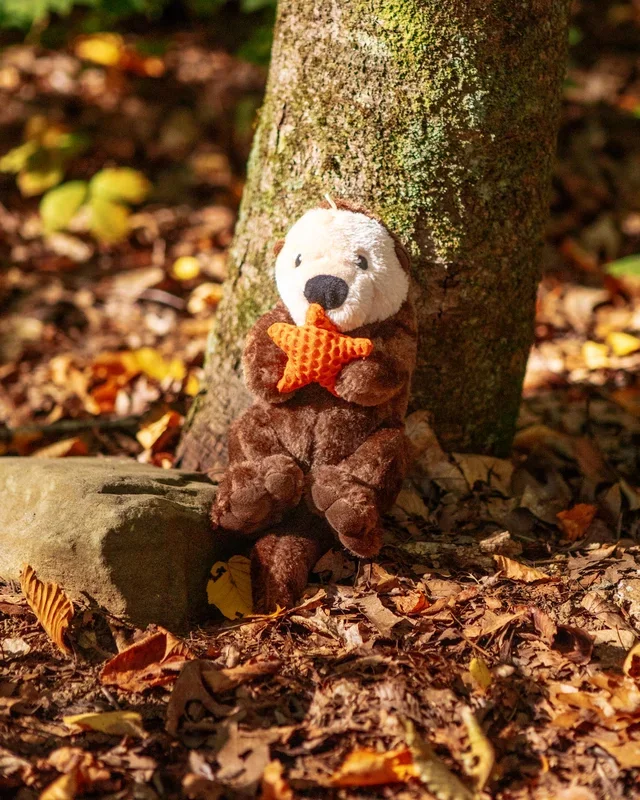 Otter Rope Body Dog Toy