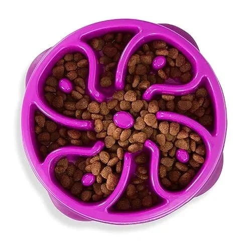 Outward Hound Anti-Skid Fun Feeder Slow Feeding Dog Bowl – Purple Flower – Medium