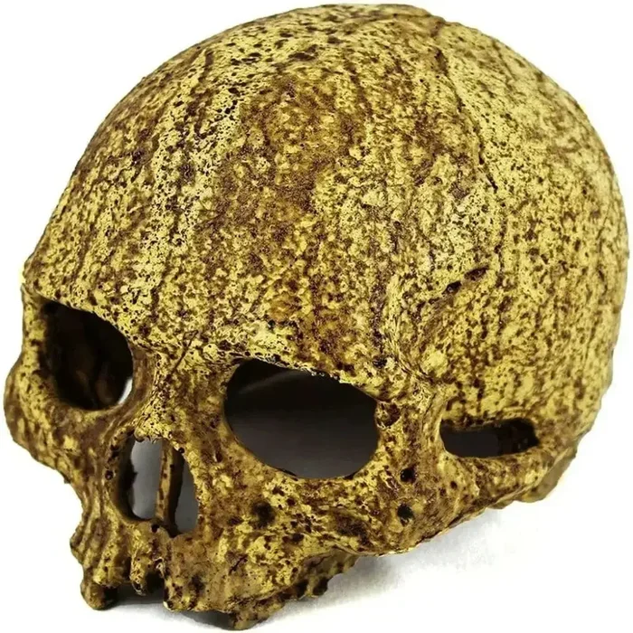 Pangea Human Skull Cave