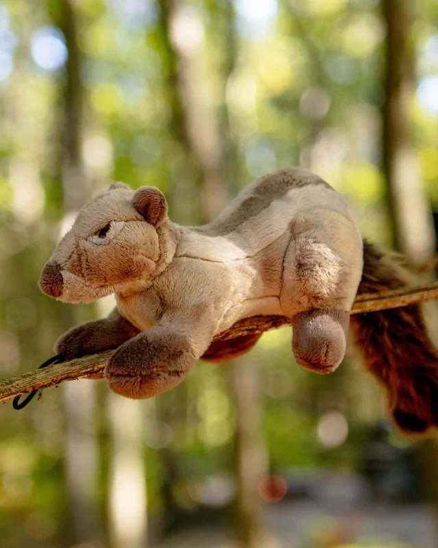 Peanut the Squirrel Squeaky Dog Plush Toy