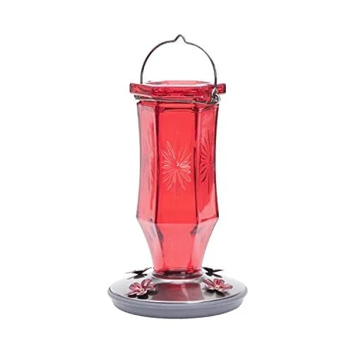 Perky-Pet Starburst Glass Vintage Hummingbird Feeder – Red – 16 Oz Cap – 2 Pack