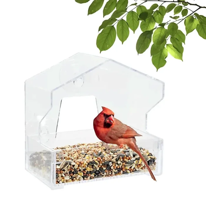 Perky Pet Window Bird Feeder