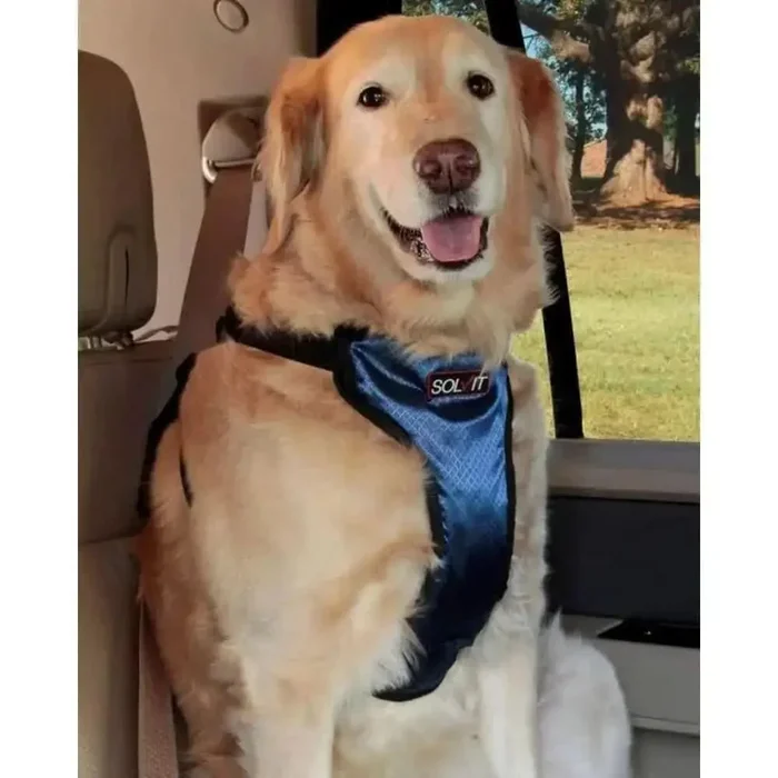 PetSafe Happy Ride Safety Dog Harness Black, Blue