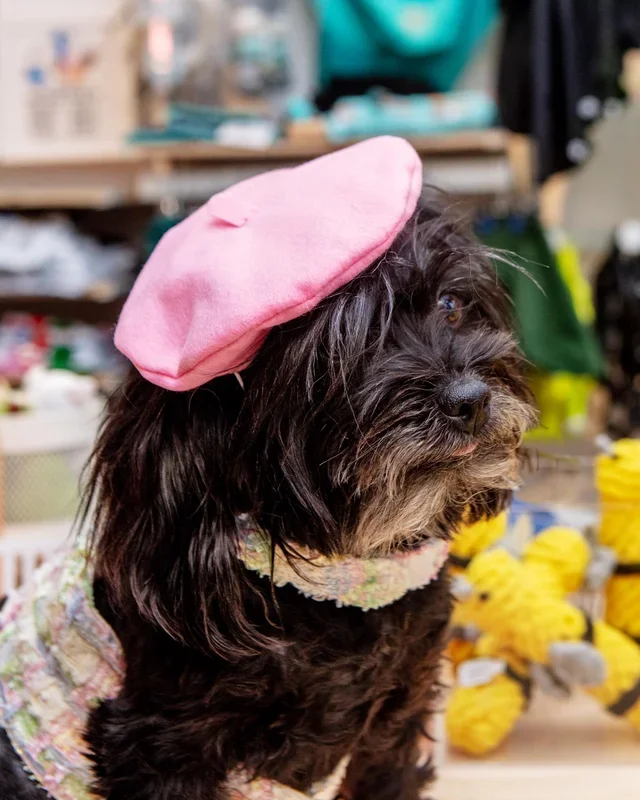 Pink Beret Petite Pet Hat (Made in the USA)