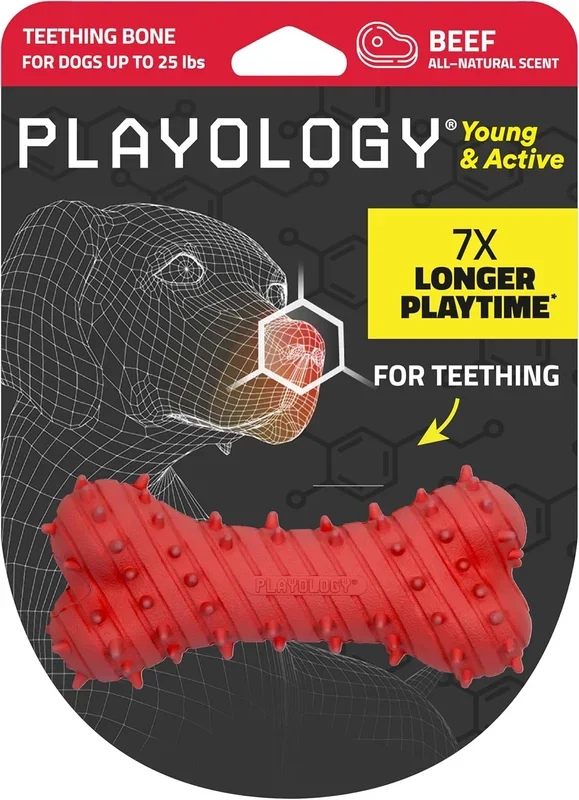 Playology 磨牙骨 小狗 牛肉 红色 小号