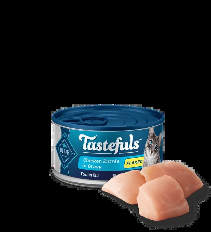 Pollo desmenuzado para adultos Blue Buffalo Tastefuls de 3 oz en latas húmedas para gatos con entrada de salsa