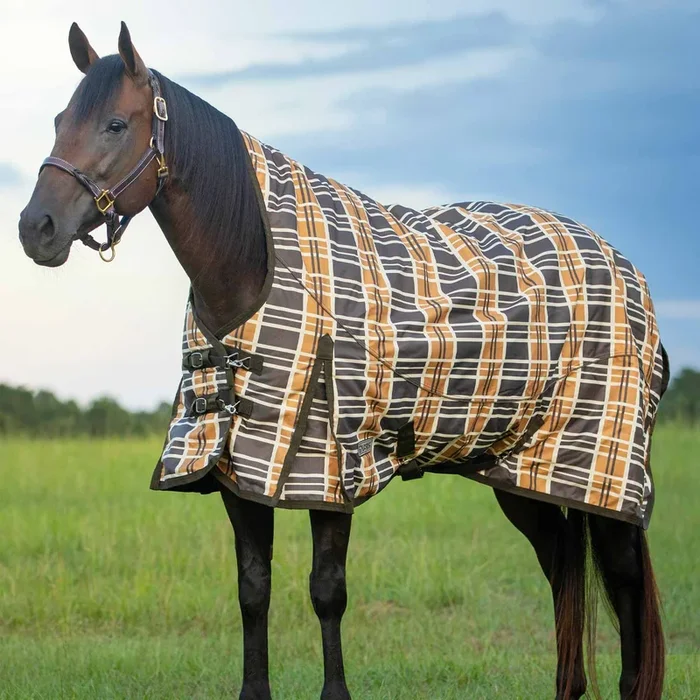 ¡PREVENTA! Manta pesada para caballos con cuello extendido Jeffers Solaris