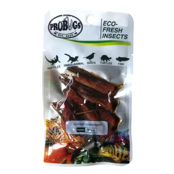 Pro Bugs Eco-Fresh Grasshopper for Larger Cichlids, Amphibians, Hedgehogs, Parrots food