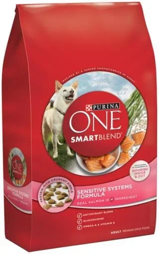 Purina ONE +Plus Skin & Coat Formula Dry Dog Food