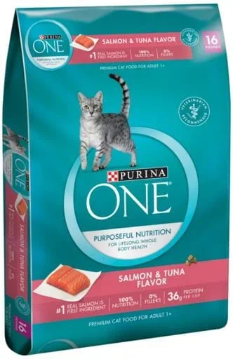 Purina ONE Tender Selects Blend Real Salmon Dry Cat Food