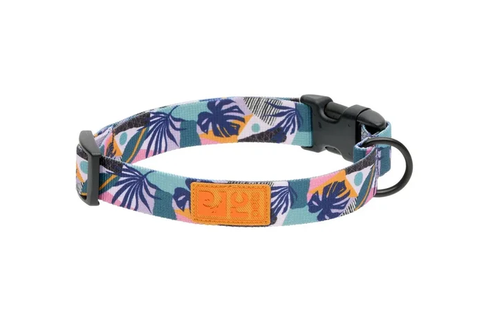 RC Pet Eco Clip Collar Mystic Monstera, L
