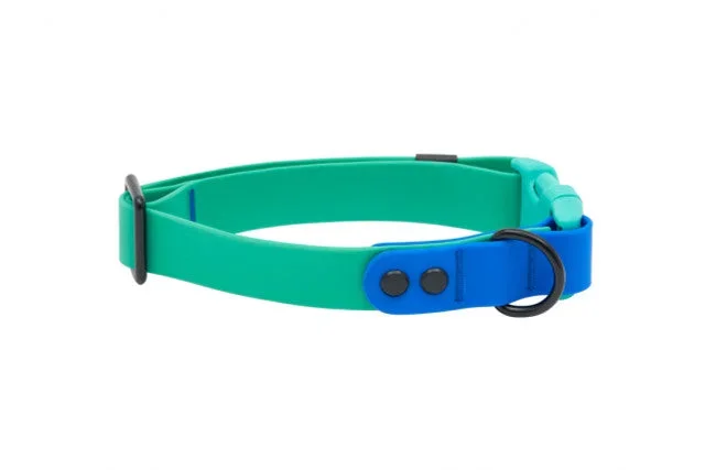 RC Pet Waterproof Collar, Parakeet/Sapphire, L